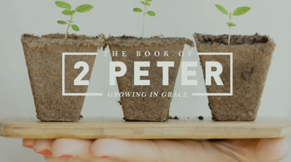 2 Peter: Make Every Effort Image